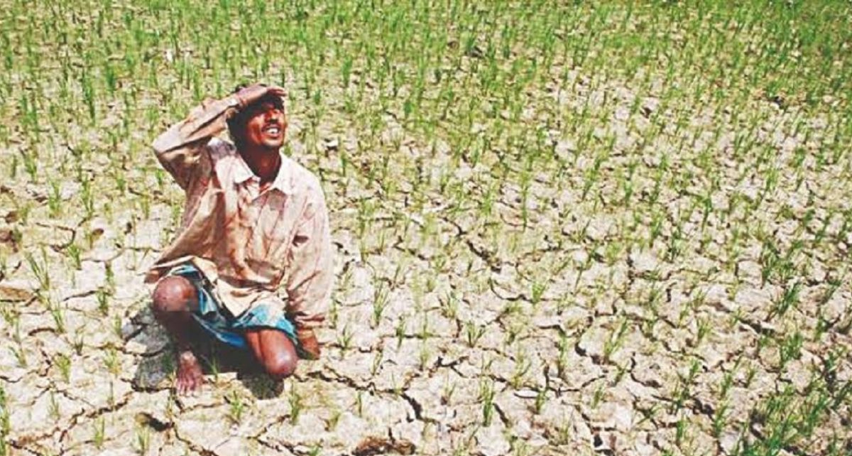 मानसून की बेवफाई और गहराता कृषि संकट: लंबे सूखे ने बिगाड़ा फसलों का गणित, कई राज्यों में धान की रोपाई पिछड़ी