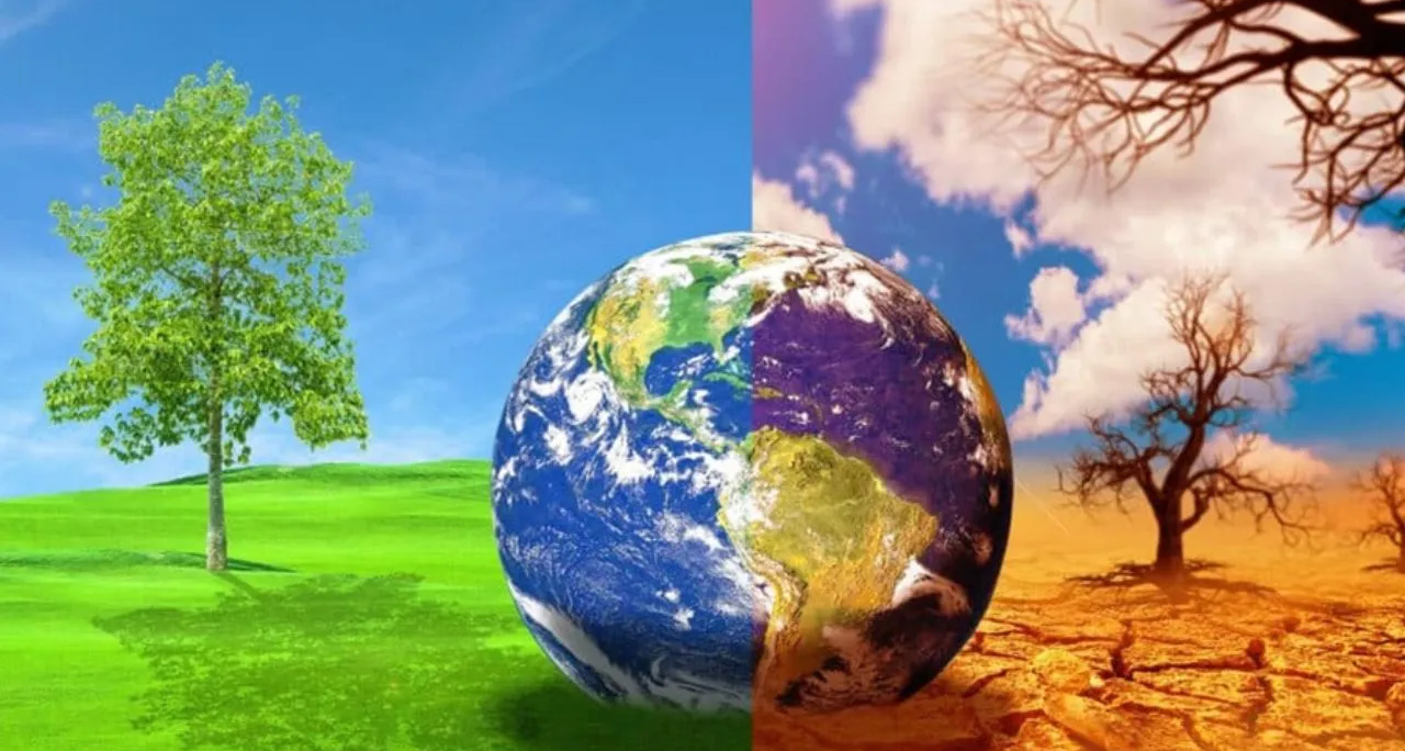 जलवायु आपातकाल की आहट: स्वास्थ्य संकट, कटते जंगल और चरम मौसम से जूझती धरती