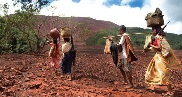 The Crisis of the Crimson Resin: How Climate Volatility and Policy Neglect Threaten India’s Lac Economy