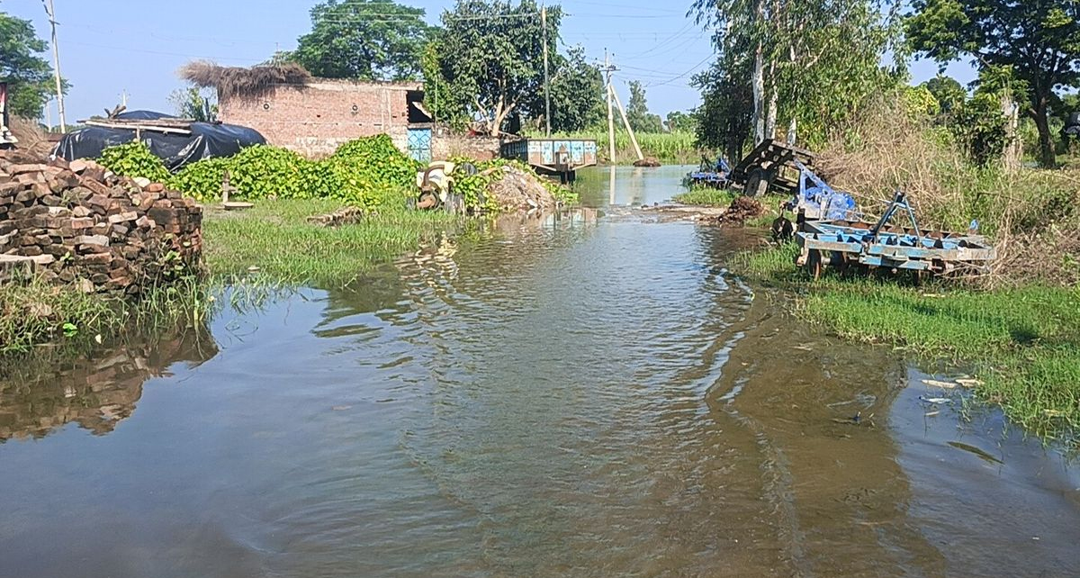 विश्व झील दिवस 2026: संकट में धरती का 'अमृत', 85% जलीय प्रजातियों पर विलुप्ति का साया